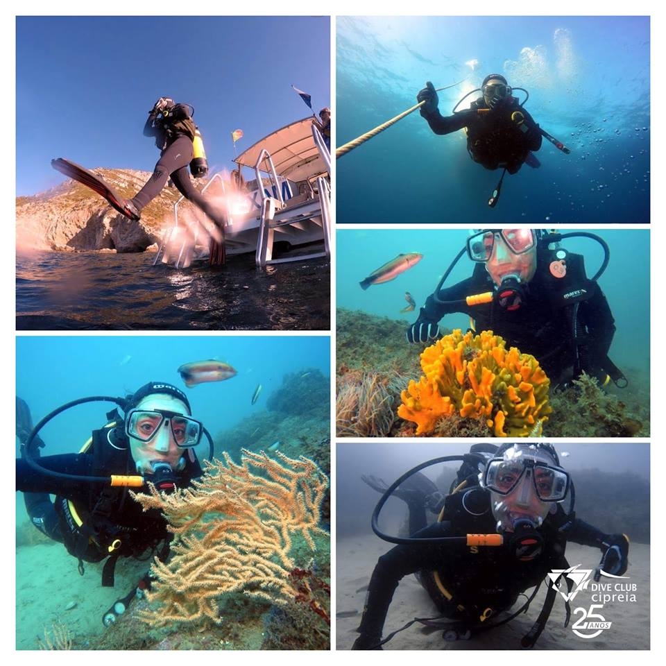 Scuba diving Lagos - fun boat trip algarve